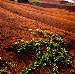 玩家猜测《星空》将于4月12日发售 与星际旅行主题契合